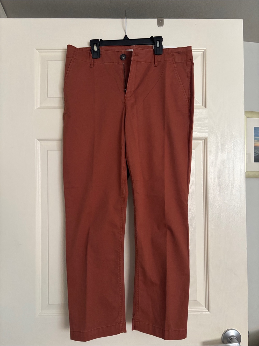 LOFT Straight-Leg Pants in Rust Brown